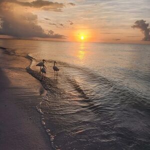 Meet your Posher, Room42